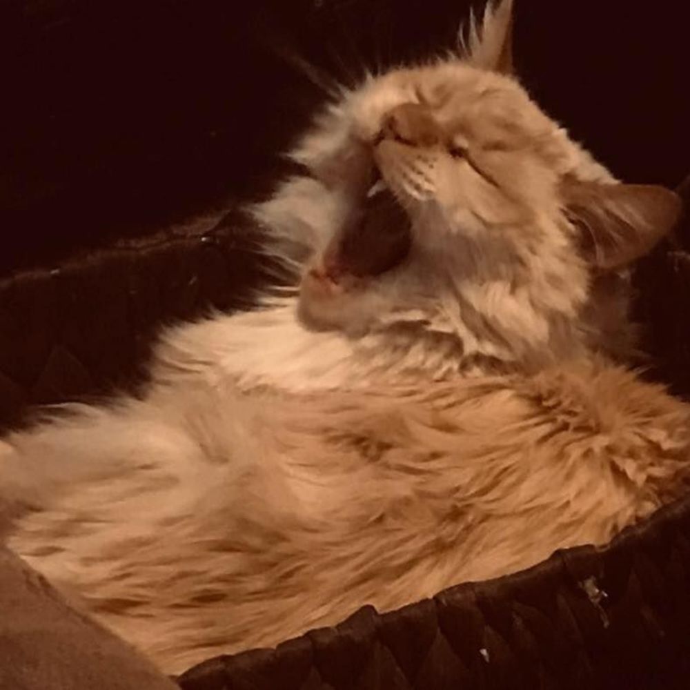 Meet your Posher, Kc